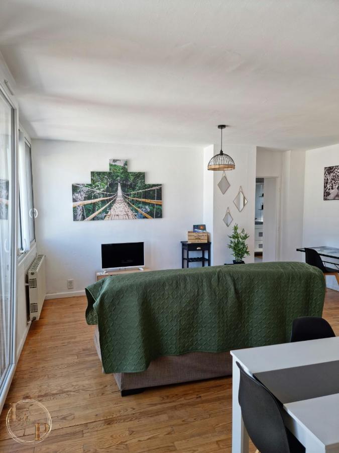 Le Belvedere Vue Pyrenees, Familiale, Centre Tarbes Lejlighed Eksteriør billede